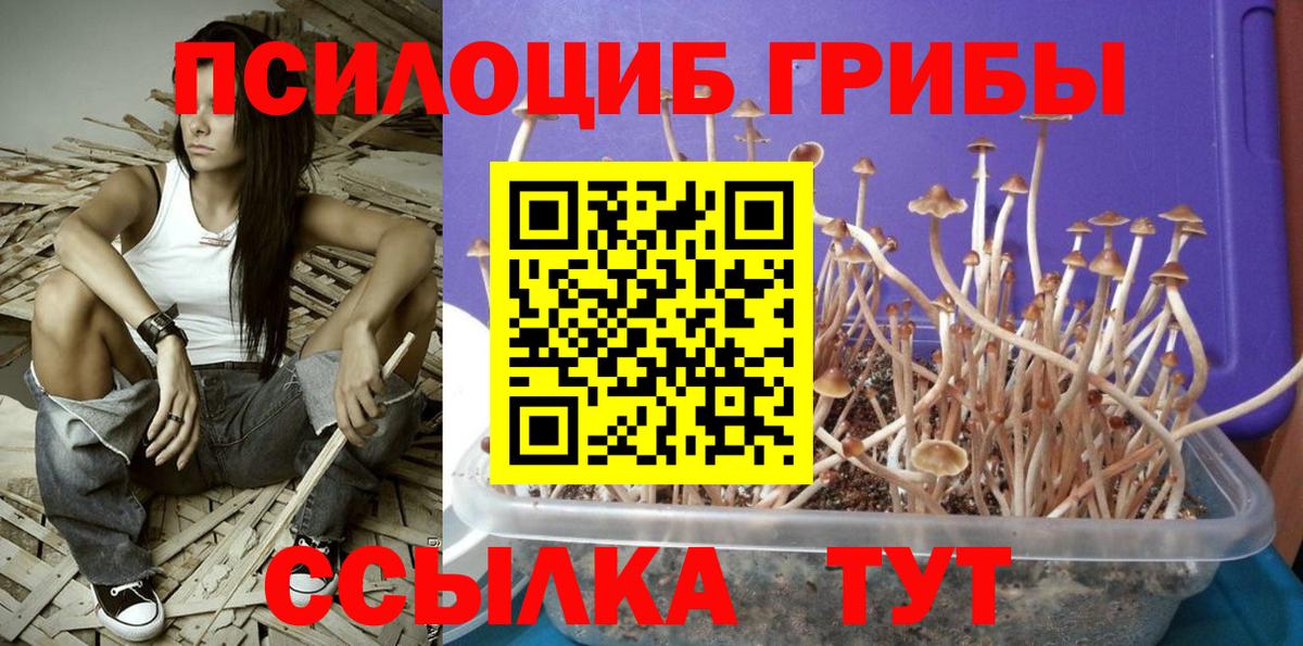 Псилоцибиновые грибы прущие грибы Сарапул