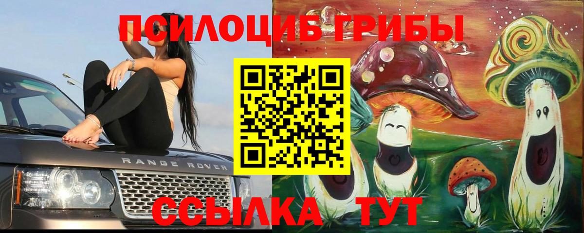 Галлюциногенные грибы мухоморы  Вход с VPN  Псилоцибиновые грибы Psilocybe  Сарапул 